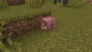 Minecraft 1.20.70.20 2