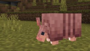 Minecraft 1.20.70.20 3