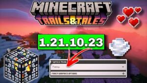 Minecraft 1.21.10.23 1