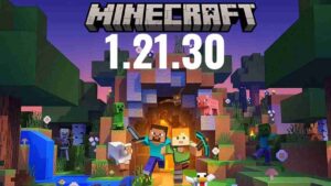 Minecraft 1.21.30 1