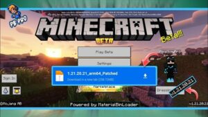 Minecraft 1.21.20.21 3